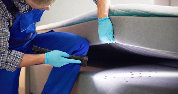 Best Cockroach Control Services  in Everett, MA